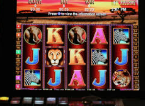 威廉体育2024最新版